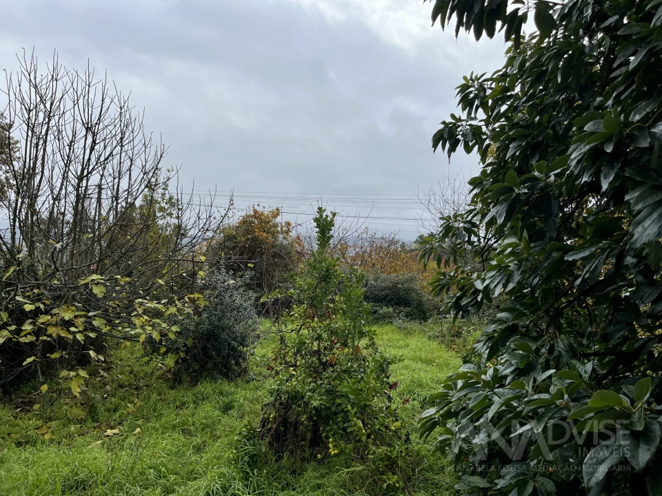 Moradia T5 para Venda em Fragosela Foto 4