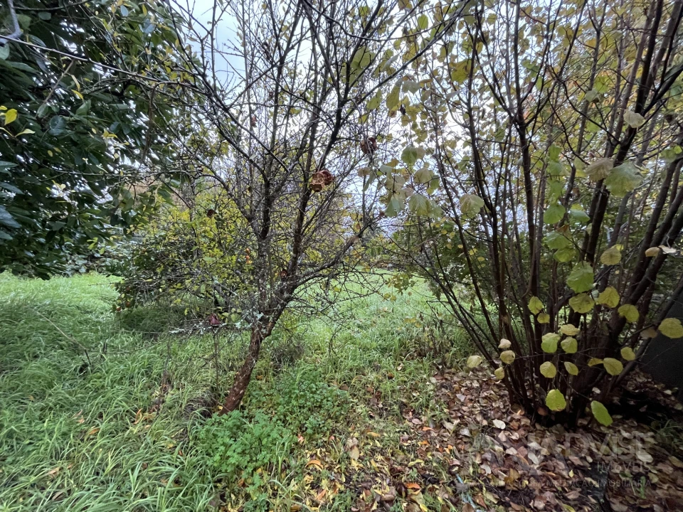 Moradia T5 para Venda em Fragosela Foto 9