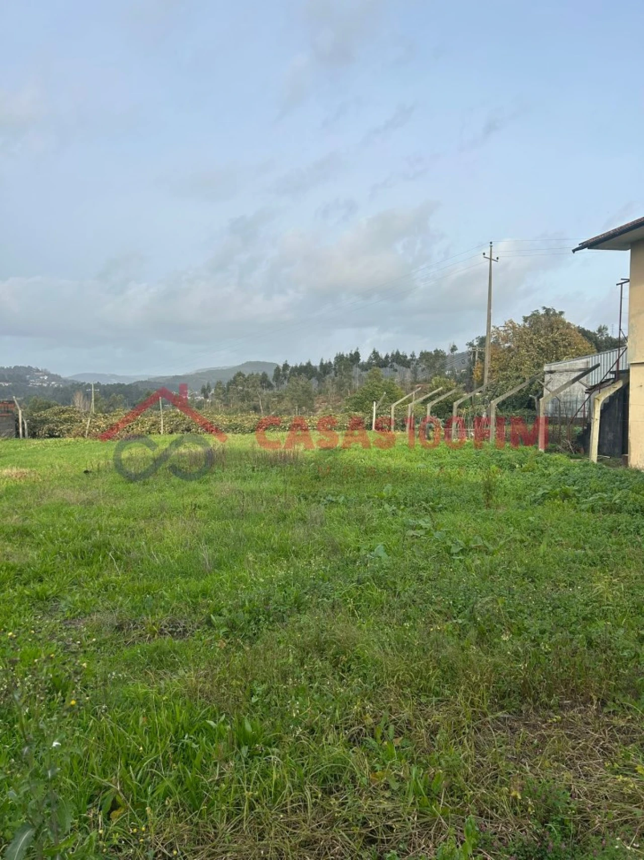 Terreno Agricola ou Rústico para Venda em Pinheiro da Bemposta, Travanca e Palmaz Foto 8