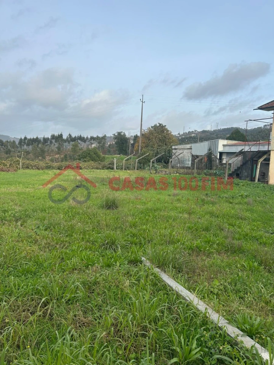 Terreno Agricola ou Rústico para Venda em Pinheiro da Bemposta, Travanca e Palmaz Foto 5