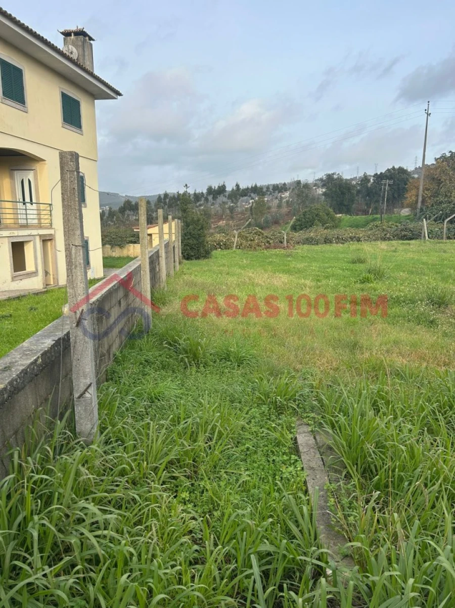 Terreno Agricola ou Rústico para Venda em Pinheiro da Bemposta, Travanca e Palmaz Foto 6