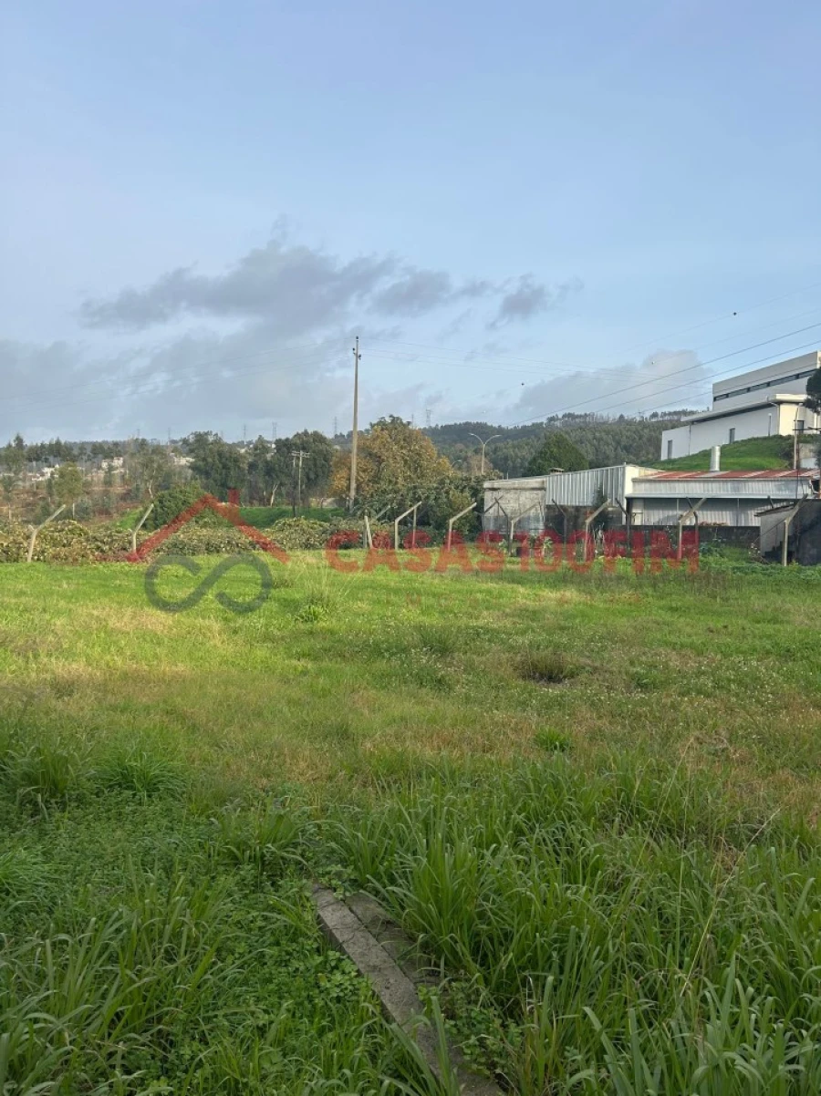 Terreno Agricola ou Rústico para Venda em Pinheiro da Bemposta, Travanca e Palmaz Foto 7