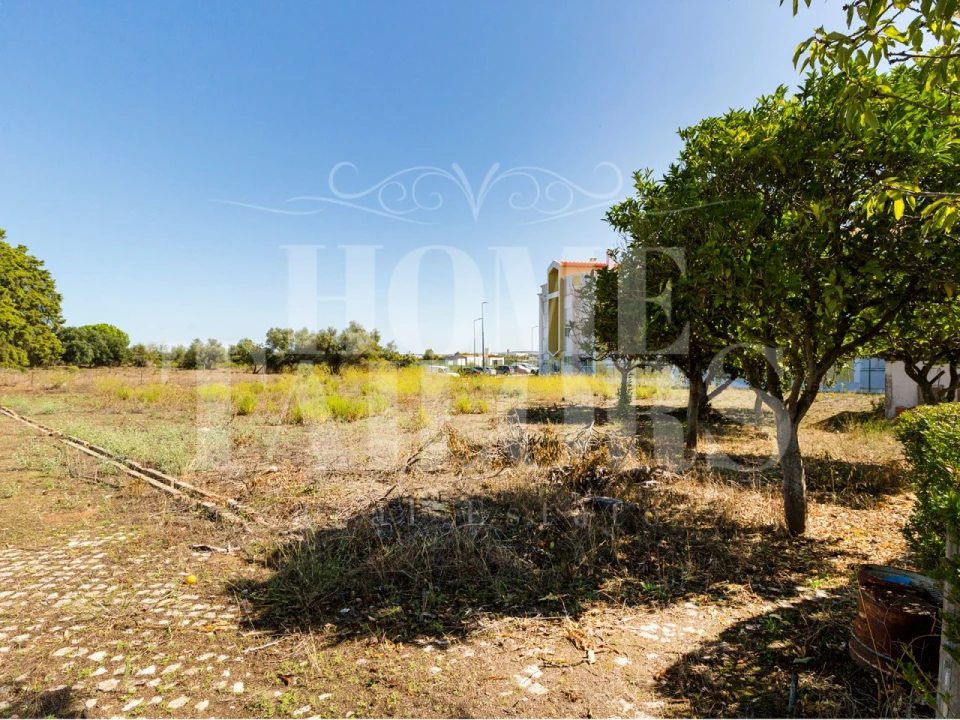 Quinta T5 para Venda em Alenquer (Santo Estêvão e Triana) Foto 46