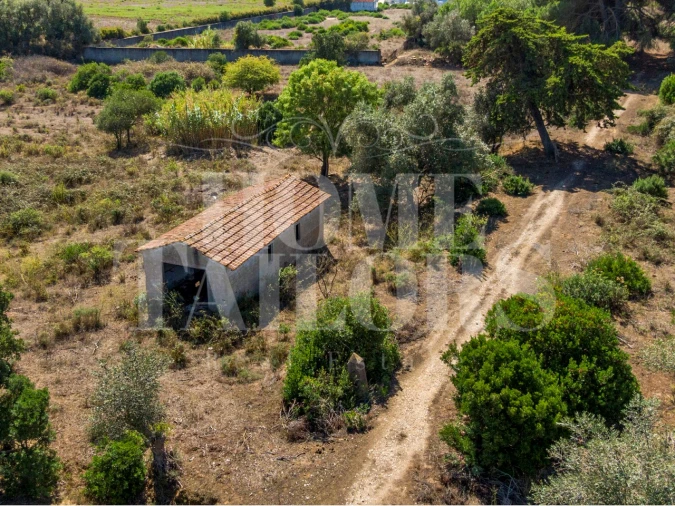 Quinta T5 para Venda em Alenquer (Santo Estêvão e Triana) Foto 40