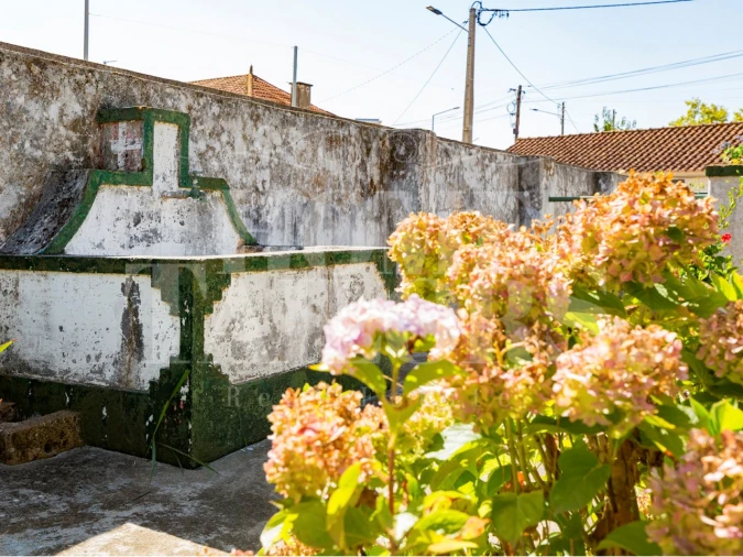 Quinta T5 para Venda em Alenquer (Santo Estêvão e Triana) Foto 17