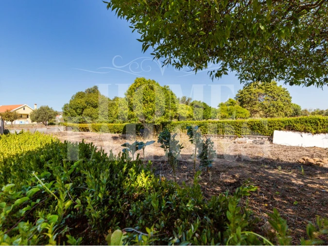 Quinta T5 para Venda em Alenquer (Santo Estêvão e Triana) Foto 48