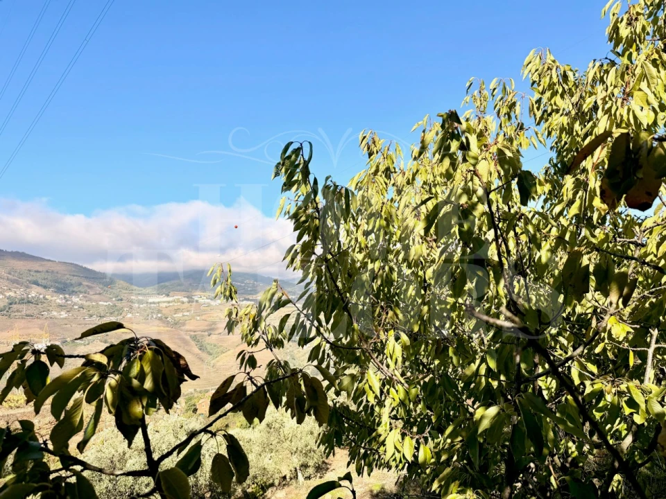 Terreno para Venda em Barro Foto 2