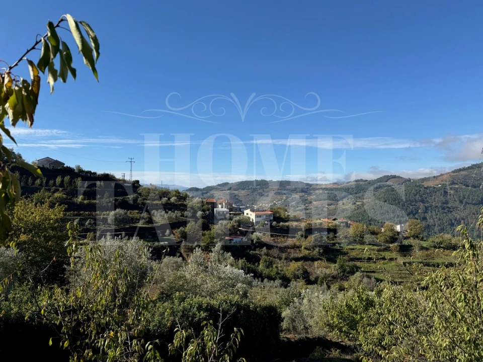 Terreno para Venda em Barro Foto 4