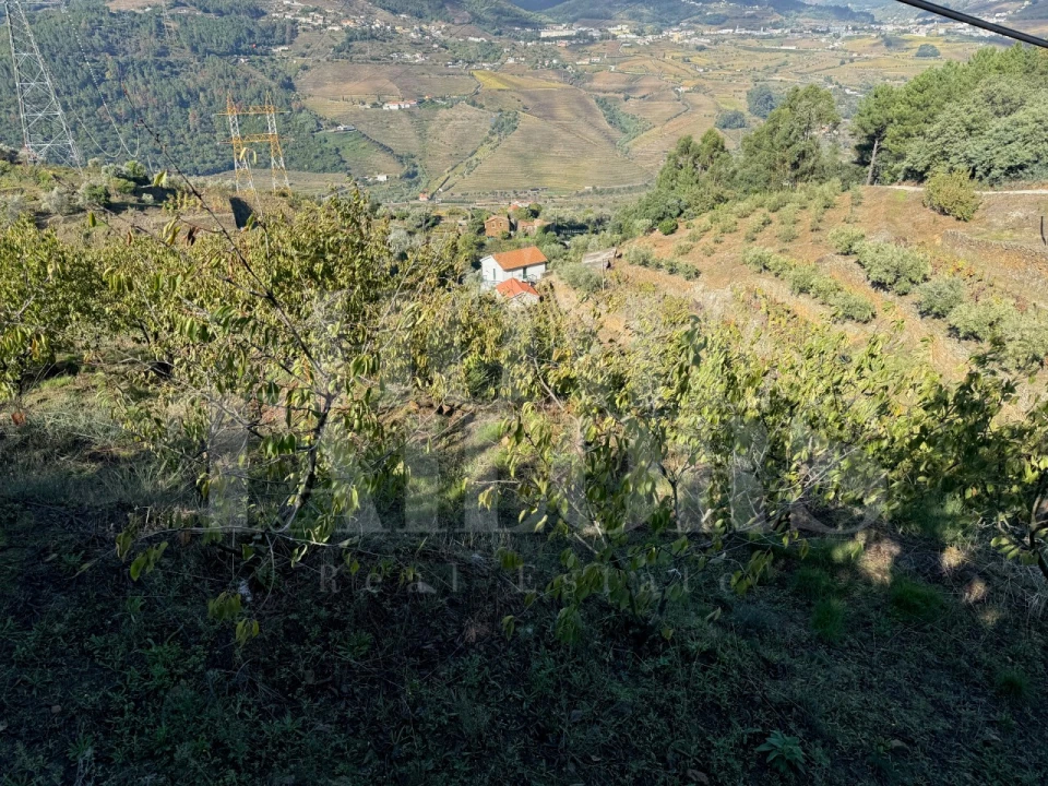 Terreno para Venda em Barro Foto 7
