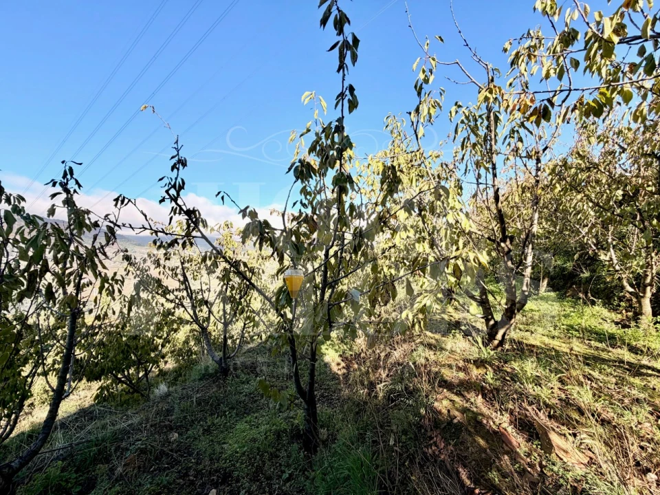 Terreno para Venda em Barro Foto 11