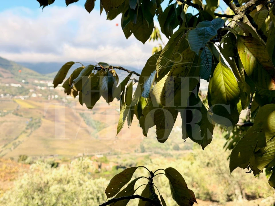 Terreno para Venda em Barro Foto 18