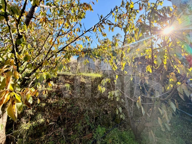 Terreno para Venda em Barro Foto 9