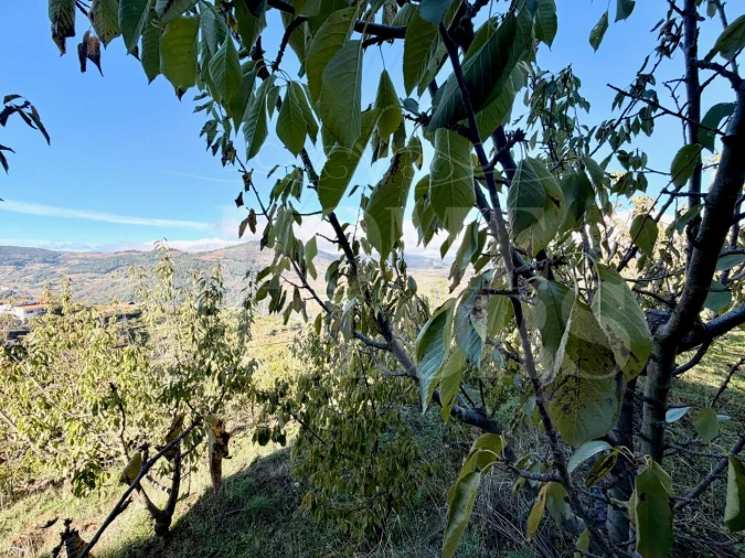Terreno para Venda em Barro Foto 13