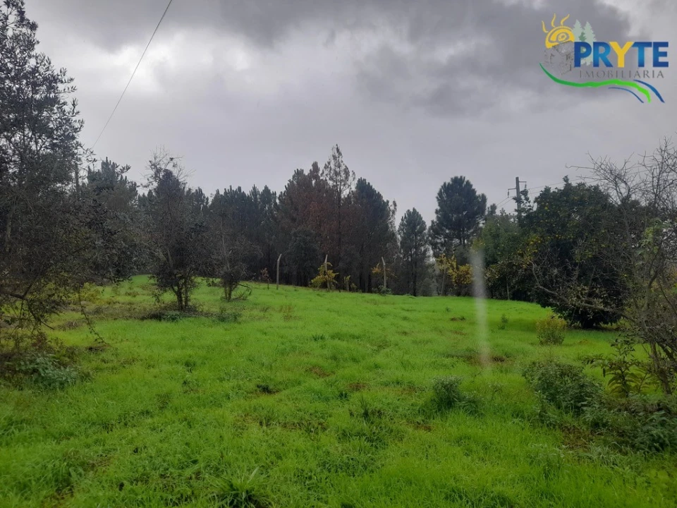 Moradia T3 para Venda em Sertã Foto 33