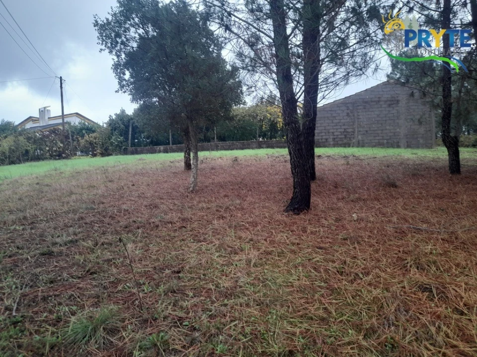 Moradia T3 para Venda em Sertã Foto 36