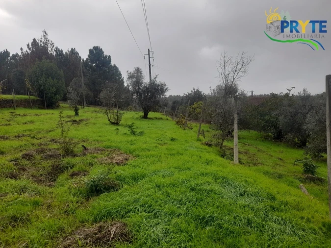 Moradia T3 para Venda em Sertã Foto 32