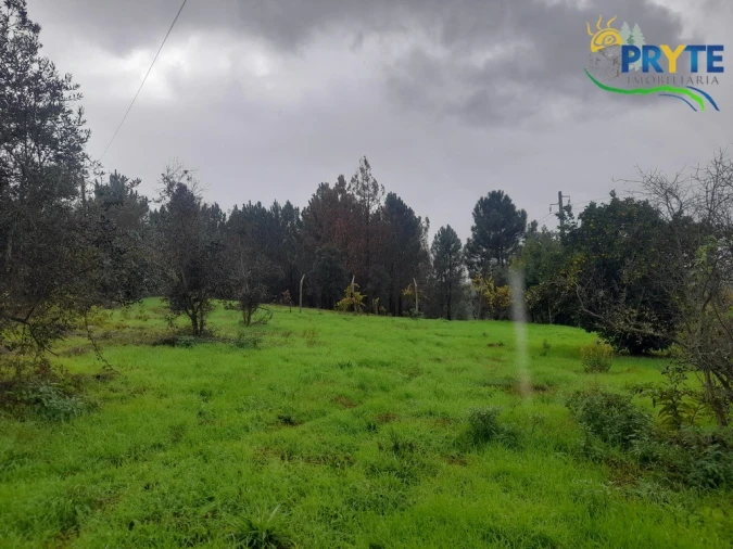 Moradia T3 para Venda em Sertã Foto 33