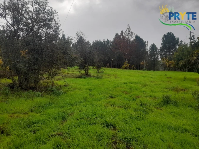 Moradia T3 para Venda em Sertã Foto 34