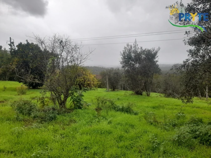 Moradia T3 para Venda em Sertã Foto 35