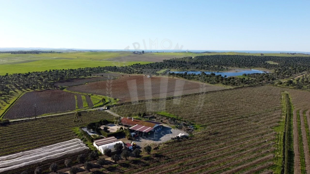 Quinta T4 para Venda em Messejana Foto 1