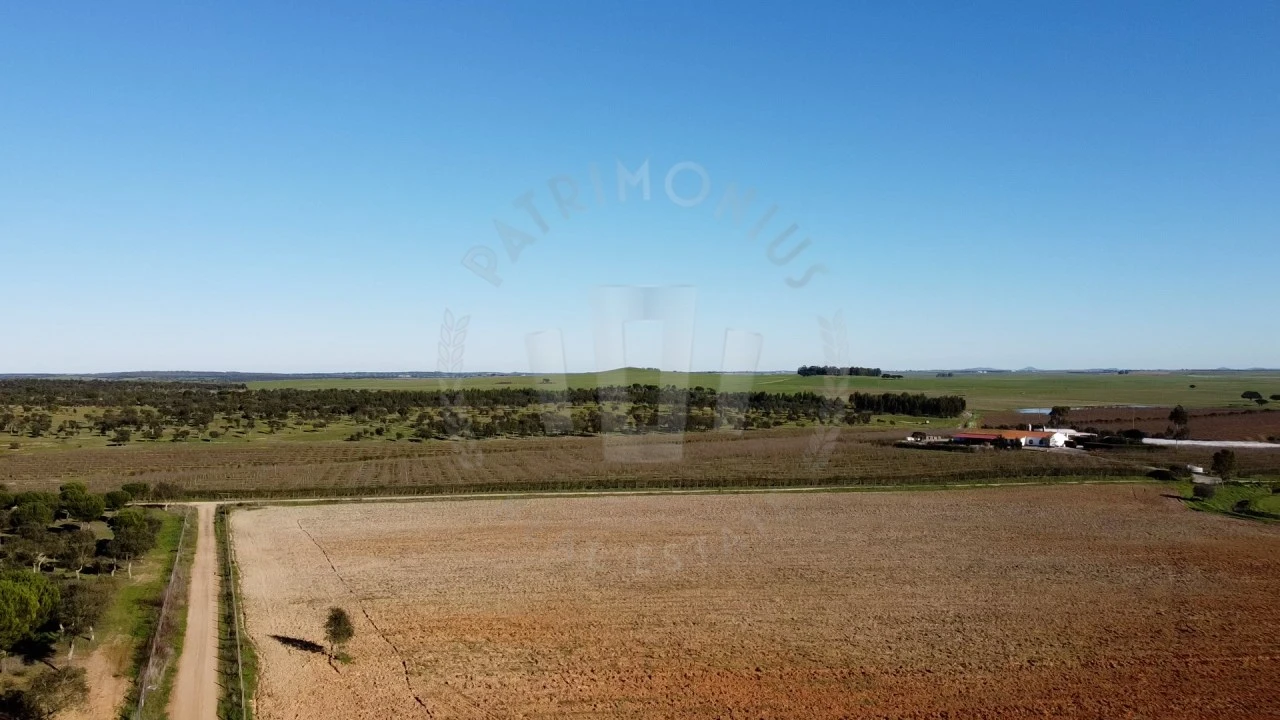 Quinta T4 para Venda em Messejana Foto 8