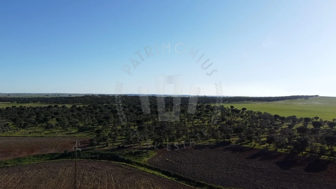 Quinta T4 para Venda em Messejana Foto 10