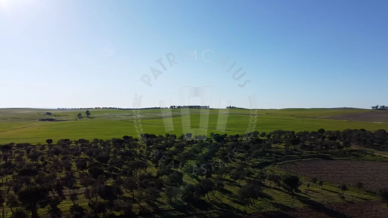 Quinta T4 para Venda em Messejana Foto 11