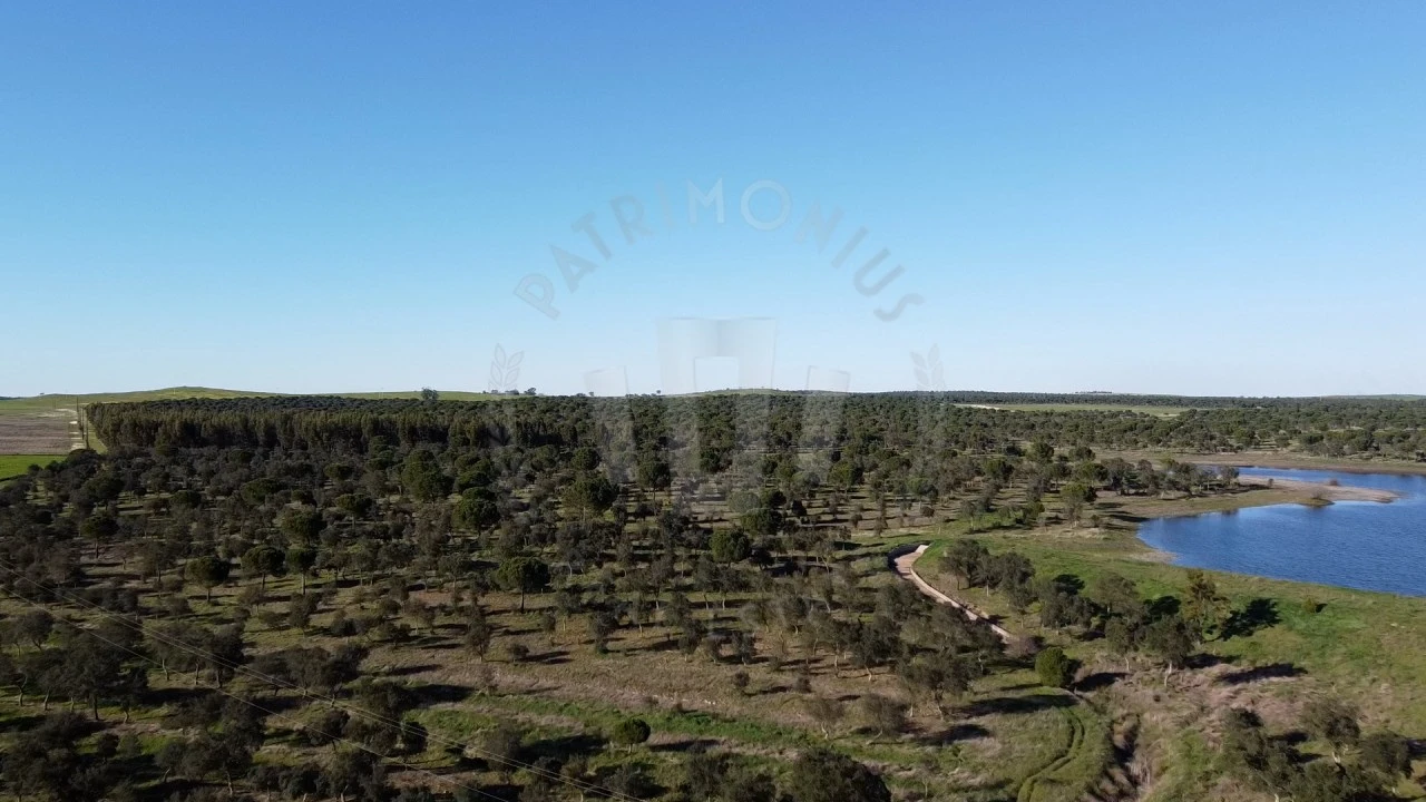 Quinta T4 para Venda em Messejana Foto 13