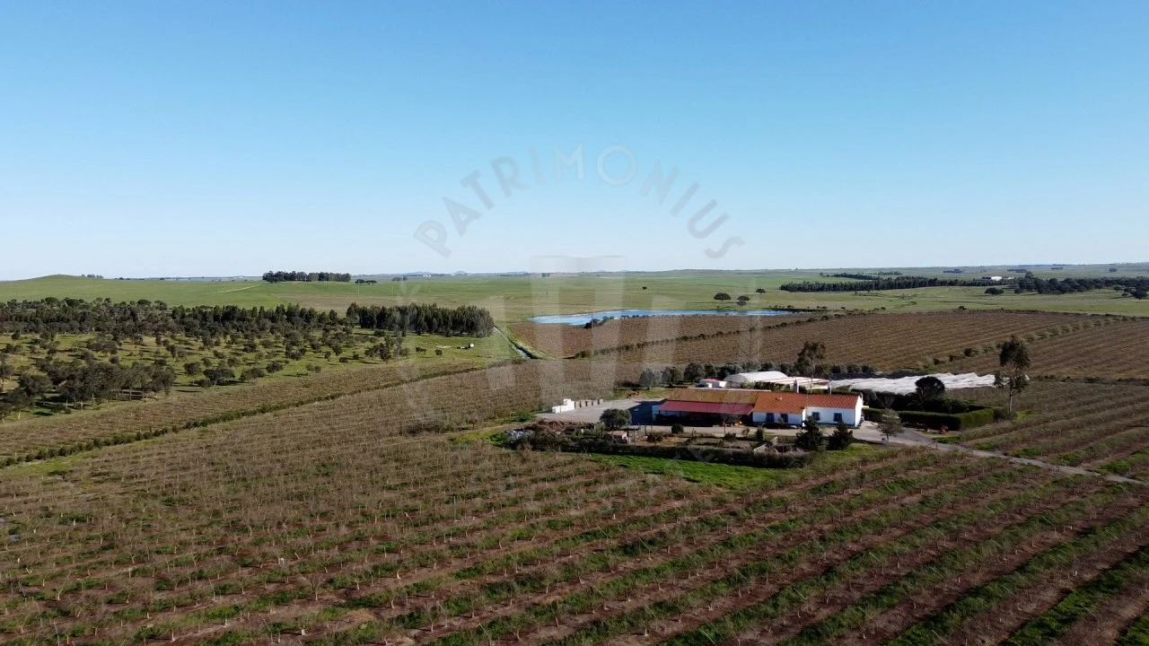 Quinta T4 para Venda em Messejana Foto 23