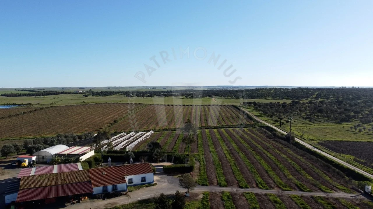 Quinta T4 para Venda em Messejana Foto 25