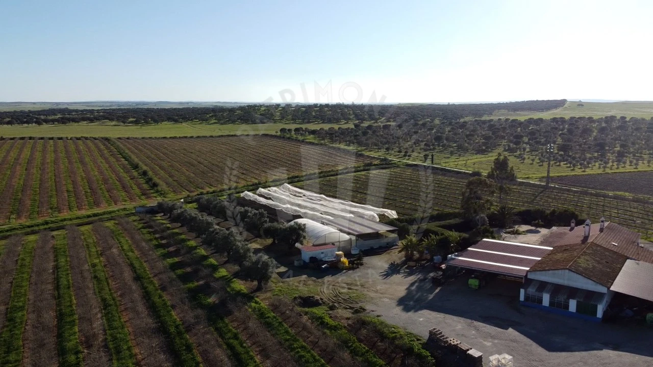 Quinta T4 para Venda em Messejana Foto 26