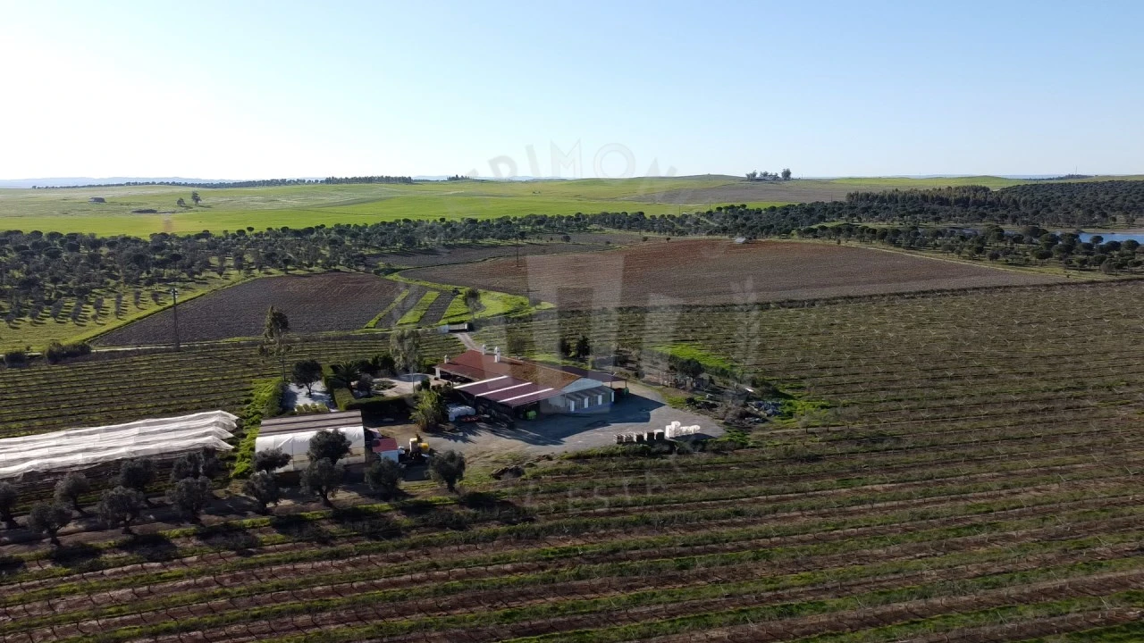 Quinta T4 para Venda em Messejana Foto 29