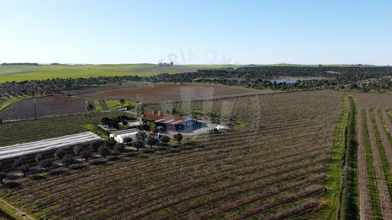 Quinta T4 para Venda em Messejana Foto 30