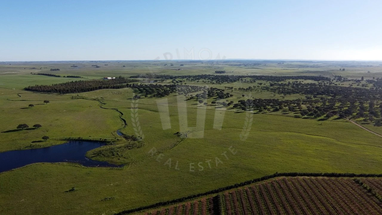 Quinta T4 para Venda em Messejana Foto 32