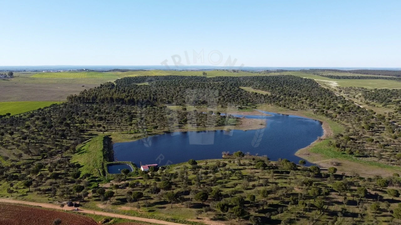 Quinta T4 para Venda em Messejana Foto 34