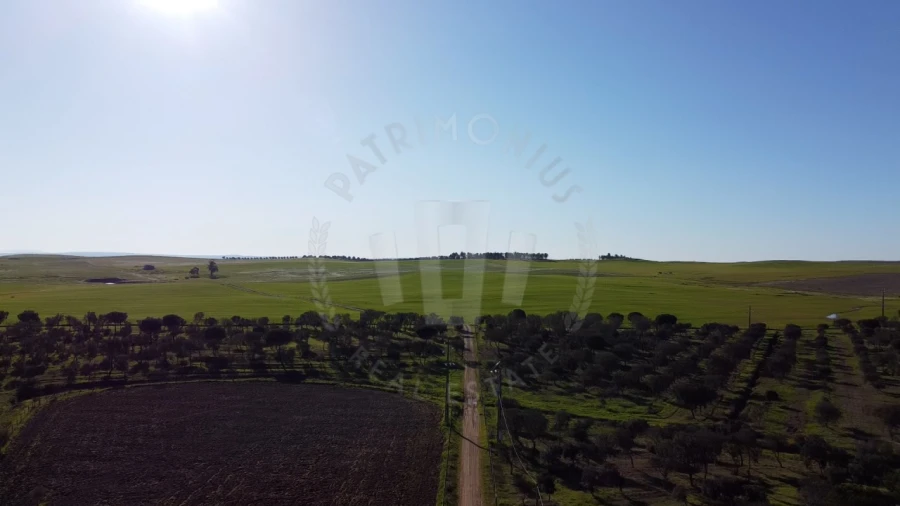 Quinta T4 para Venda em Messejana Foto 3