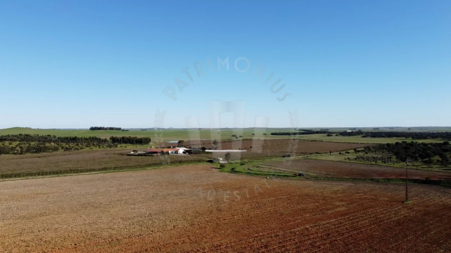 Quinta T4 para Venda em Messejana Foto 9