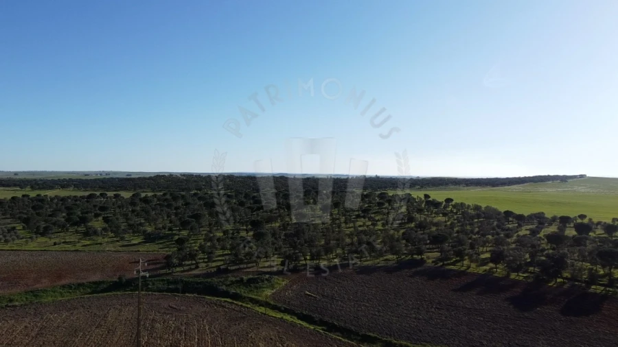 Quinta T4 para Venda em Messejana Foto 10