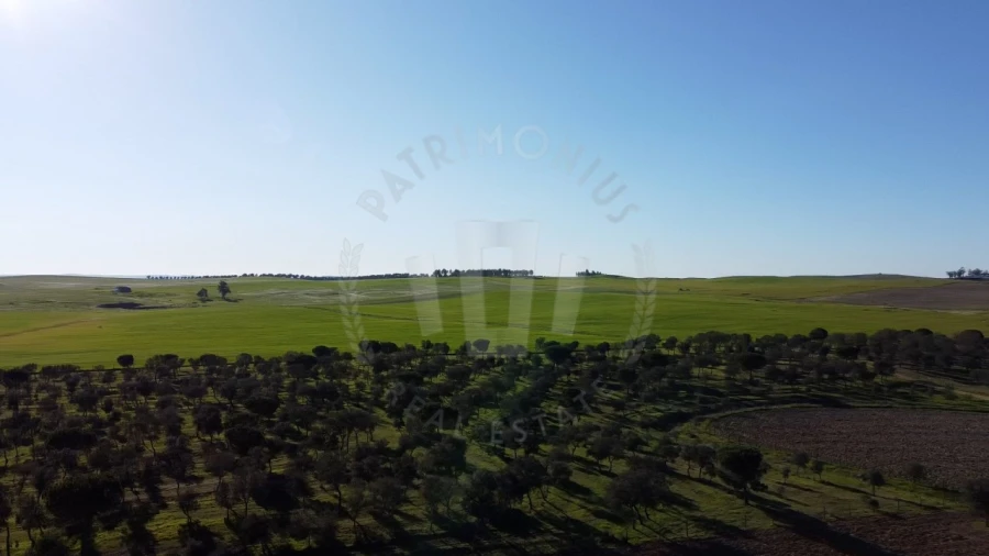 Quinta T4 para Venda em Messejana Foto 11