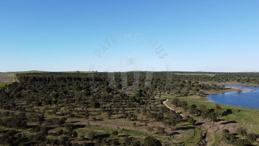 Quinta T4 para Venda em Messejana Foto 13