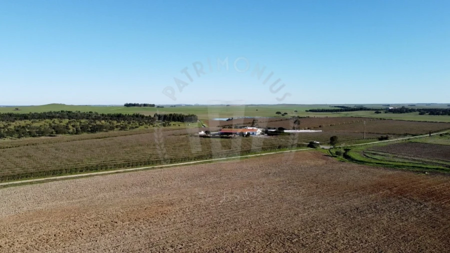 Quinta T4 para Venda em Messejana Foto 21