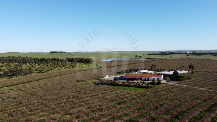 Quinta T4 para Venda em Messejana Foto 23