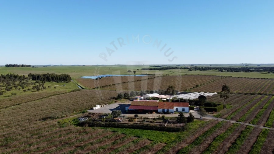 Quinta T4 para Venda em Messejana Foto 24