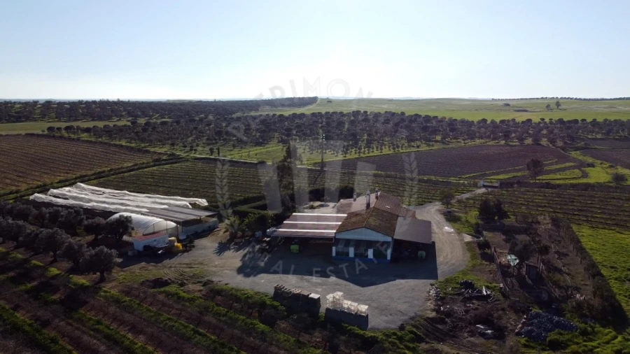 Quinta T4 para Venda em Messejana Foto 27