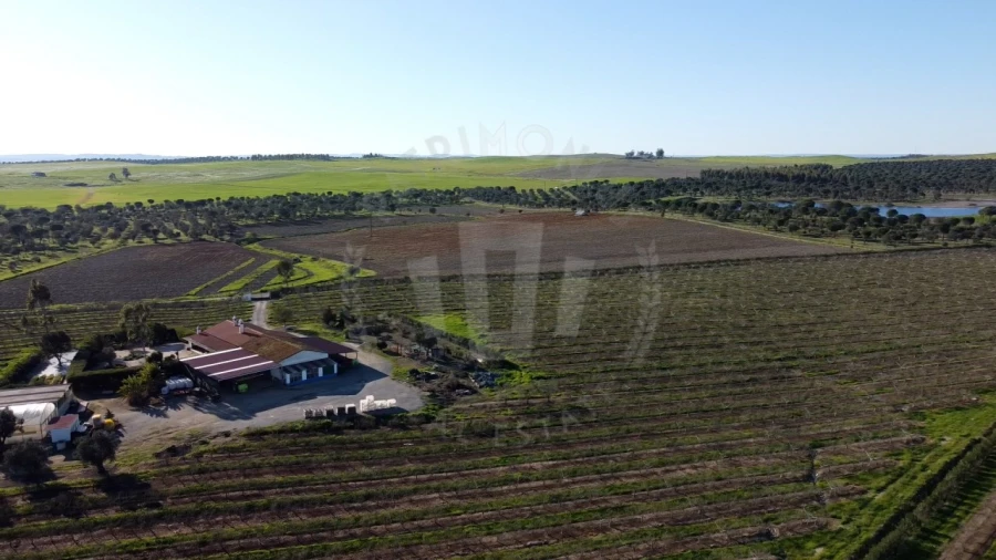 Quinta T4 para Venda em Messejana Foto 28