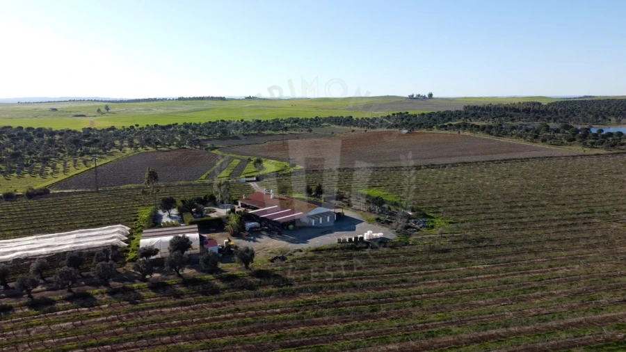 Quinta T4 para Venda em Messejana Foto 29