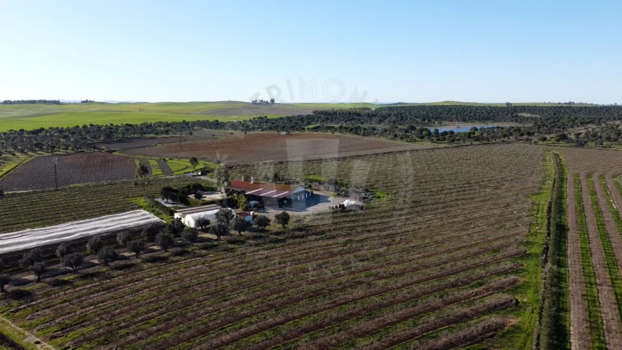 Quinta T4 para Venda em Messejana Foto 30