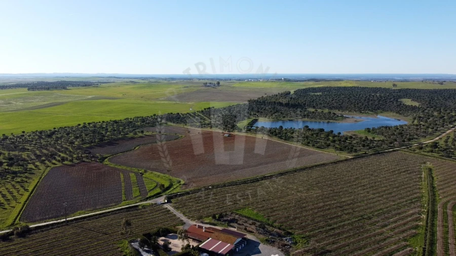 Quinta T4 para Venda em Messejana Foto 31