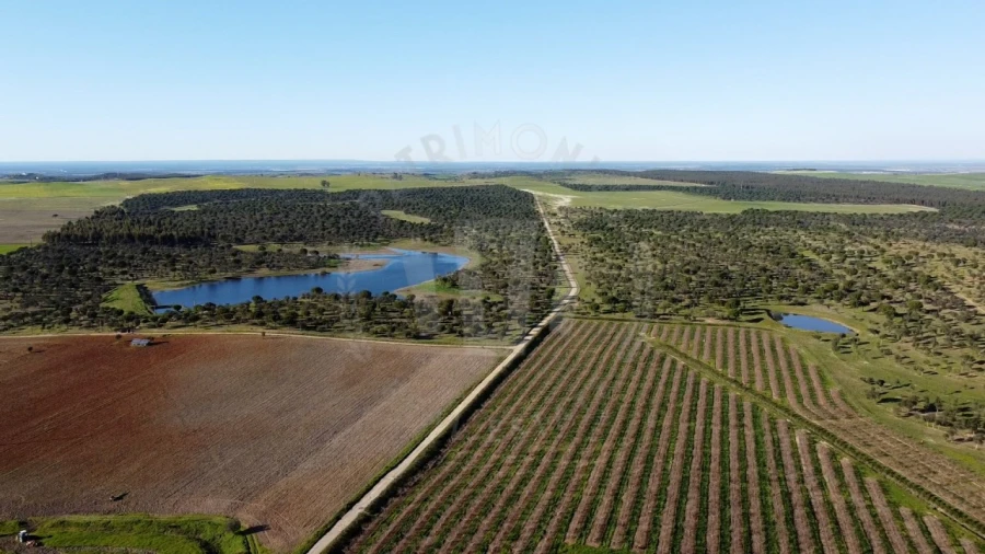 Quinta T4 para Venda em Messejana Foto 33