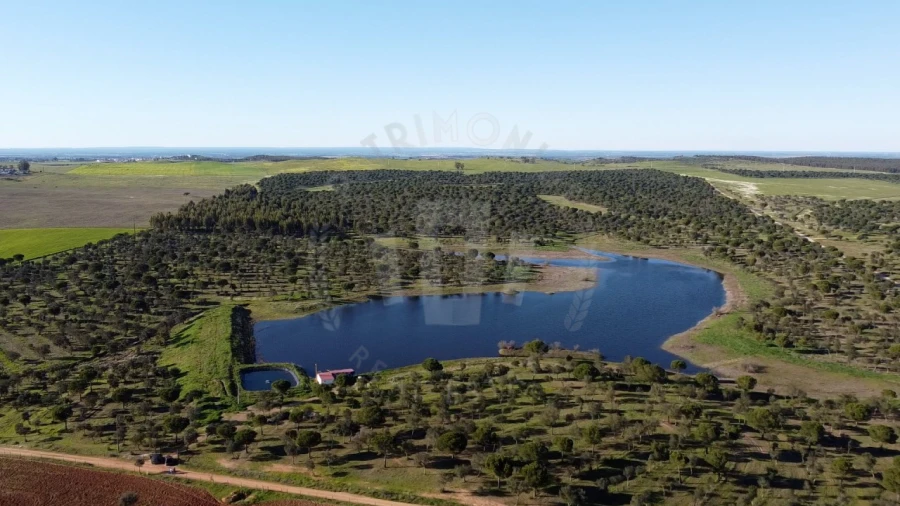 Quinta T4 para Venda em Messejana Foto 34